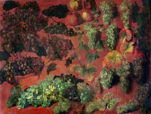 Nature Morte avec des Grappe de Raisins